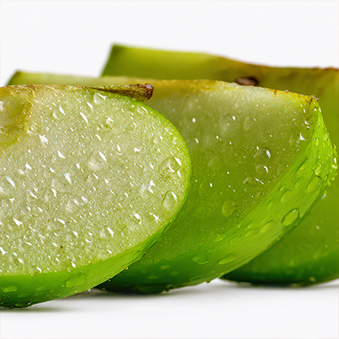 Annurca Apple Polyphenol Extract