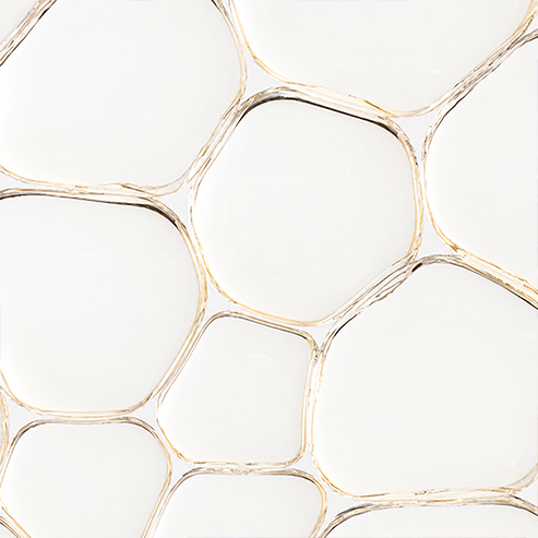 Hydrolyzed Collagen