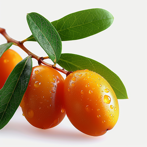 Sea Buckthorn